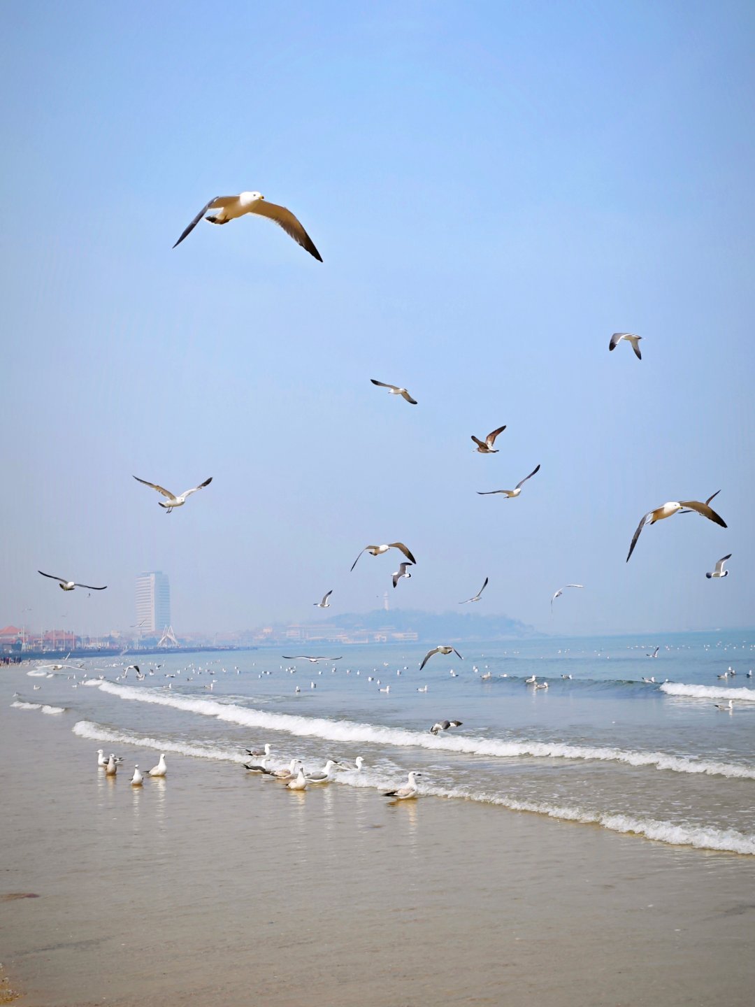 飞猪免单倒计时家庭出行的幸福感，源于家人相伴的烟火温情，但多人同行带来的住宿叠加