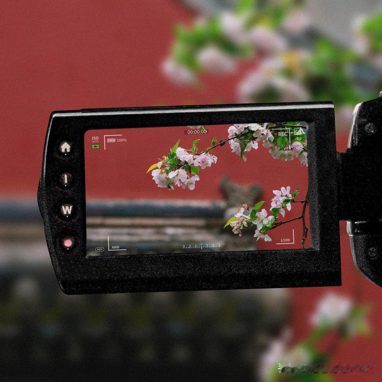 爱上紫禁城｜海棠微雨
带定位晒今日生活
我的今日状态：😁轻松愉快
我这里的天气