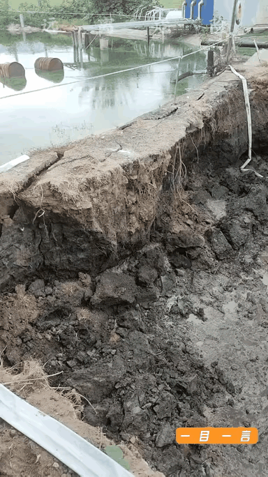 那四个人见此情景为什么还能泰然自若的？不知道这隐患有多大吗？