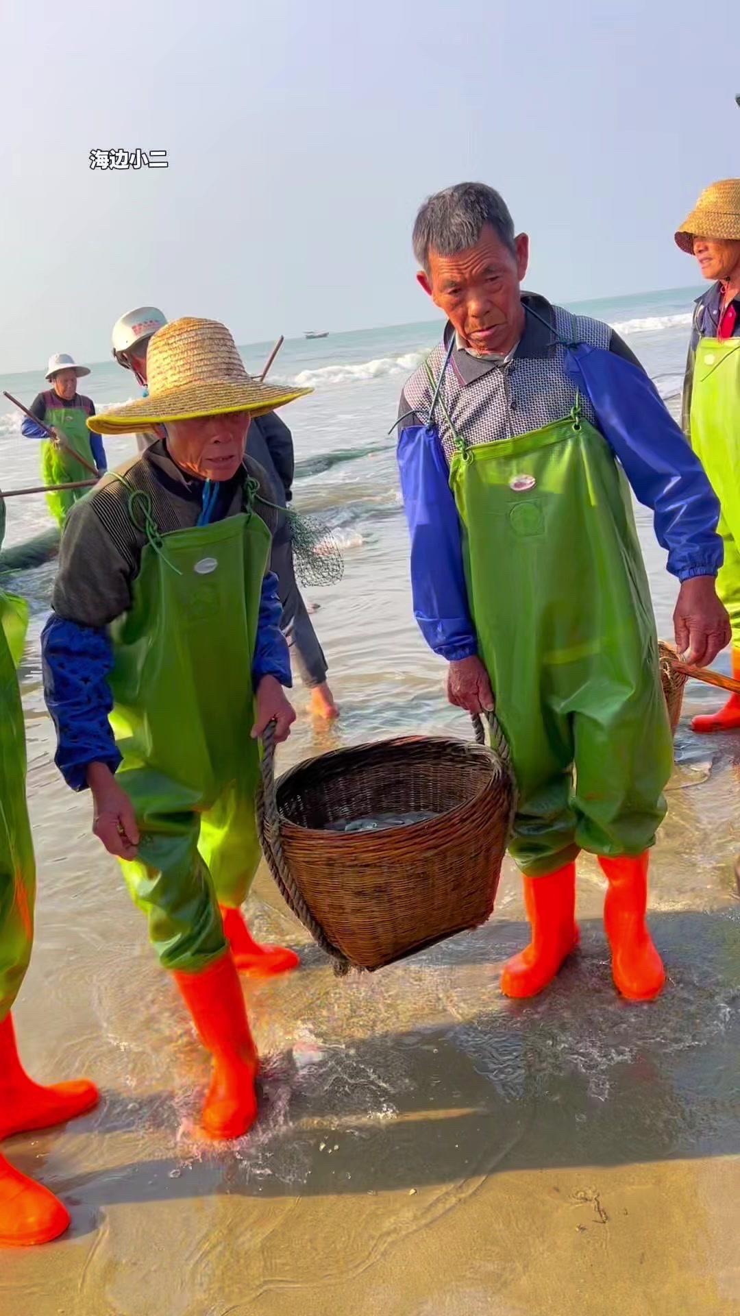 粤西小渔村的估鱼场景挺特别的，没见过的朋友可能会觉得新奇。

估鱼的时候大家都很
