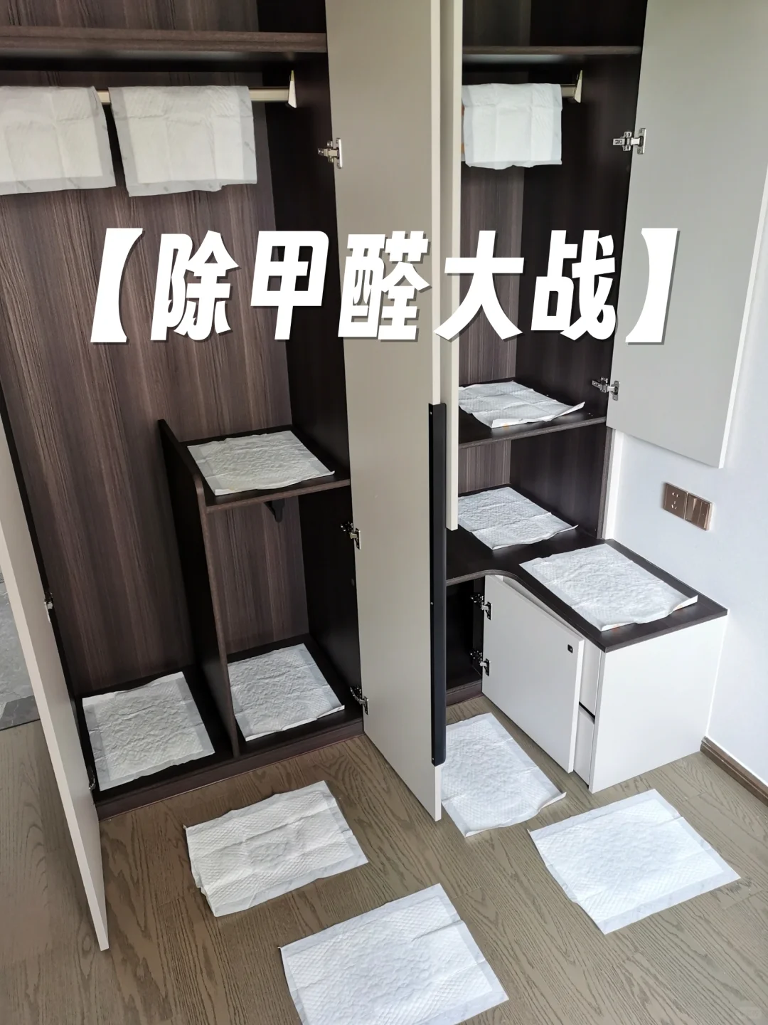 🏡新家入住不怕怕！我的除甲醛秘籍大公开