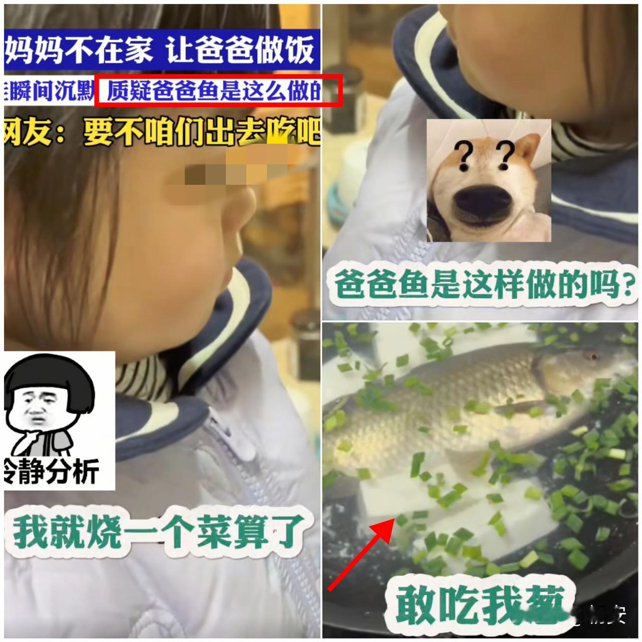 “爸爸煮鱼，鱼先开饭？

浙江这波操作笑不活了！” 

妈妈不在家，老爸勇闯
厨