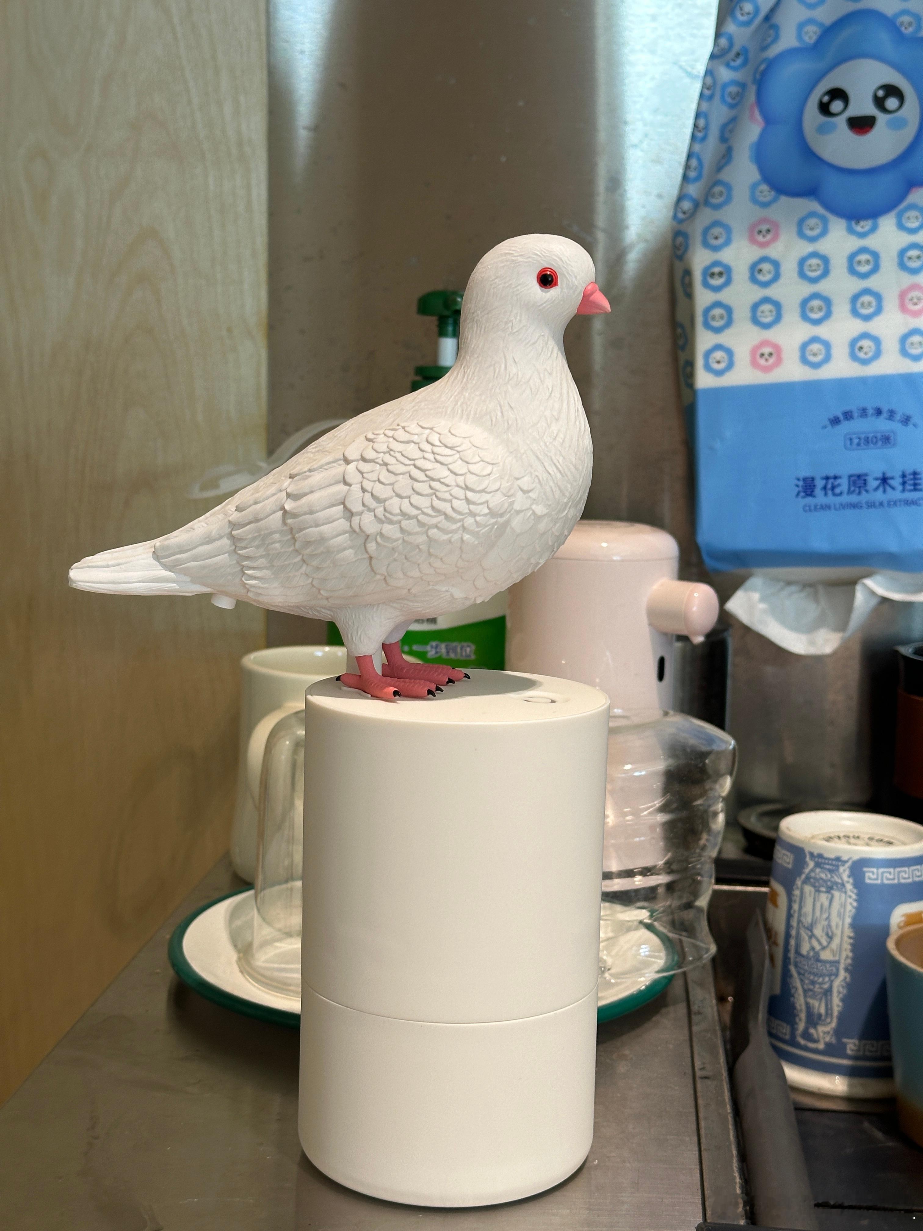 啊？？小伙伴平时都背着我买什么东西？？ ​​​