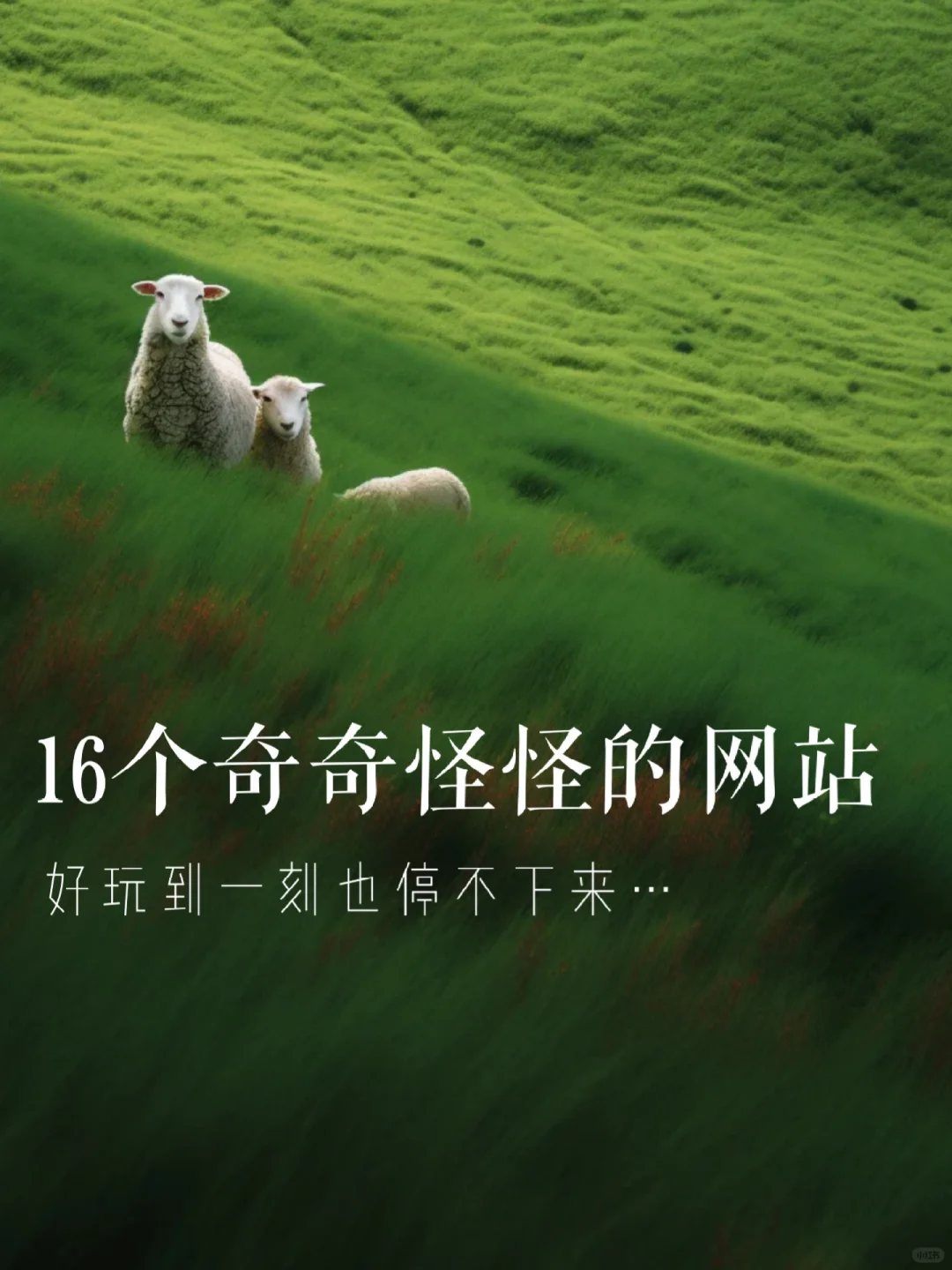 我宣布！这些网站！堪称古希腊拯救无聊的神！！