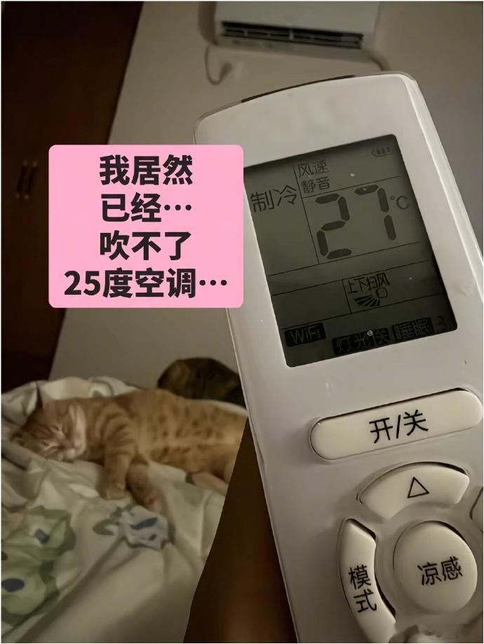 我已经吹不了25度的空调了 虽然25不能说这个话...但是小助理好像真的老了空调
