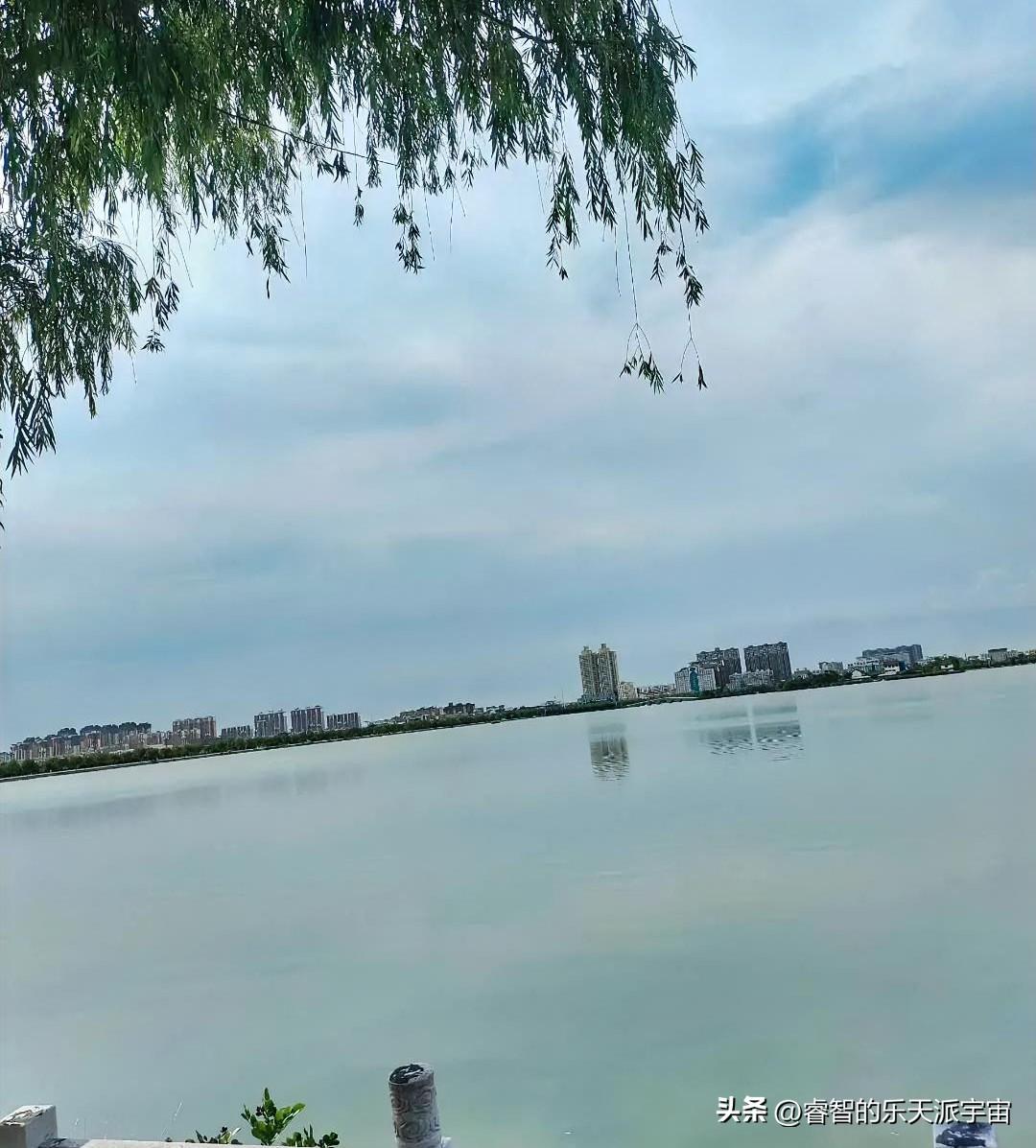 “窝窝囊囊的活了四十多年了！想摆又摆不烂，想卷又卷不赢，想躺又躺不平，这碗夹生饭