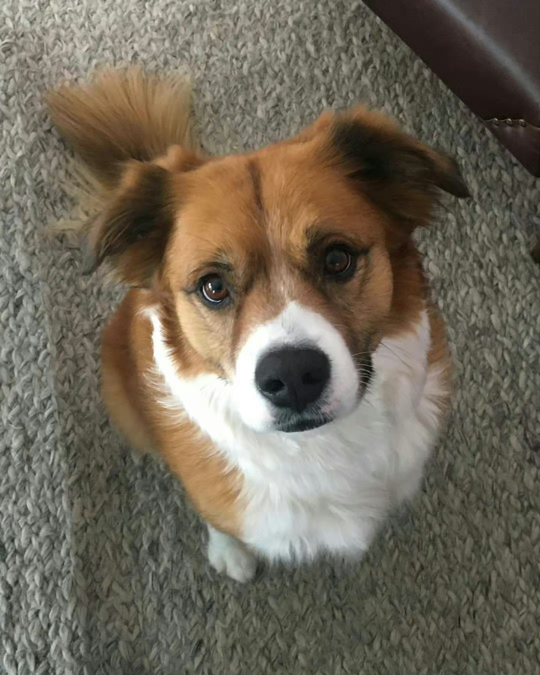 美队当爸恭喜～道哥有弟弟or妹妹了[么么哒] ​​​