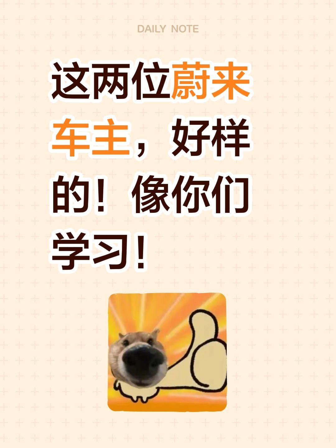 这两位蔚来车主，好样的！像你们学习！
昨天这事儿在车友群里传开了
一位EC6车主