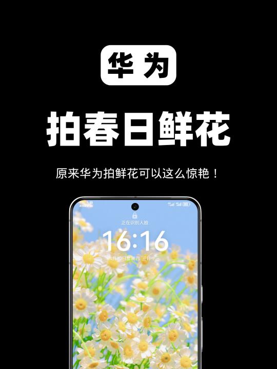 华为鲜花模式🌺绝绝子✨️带你留住春天