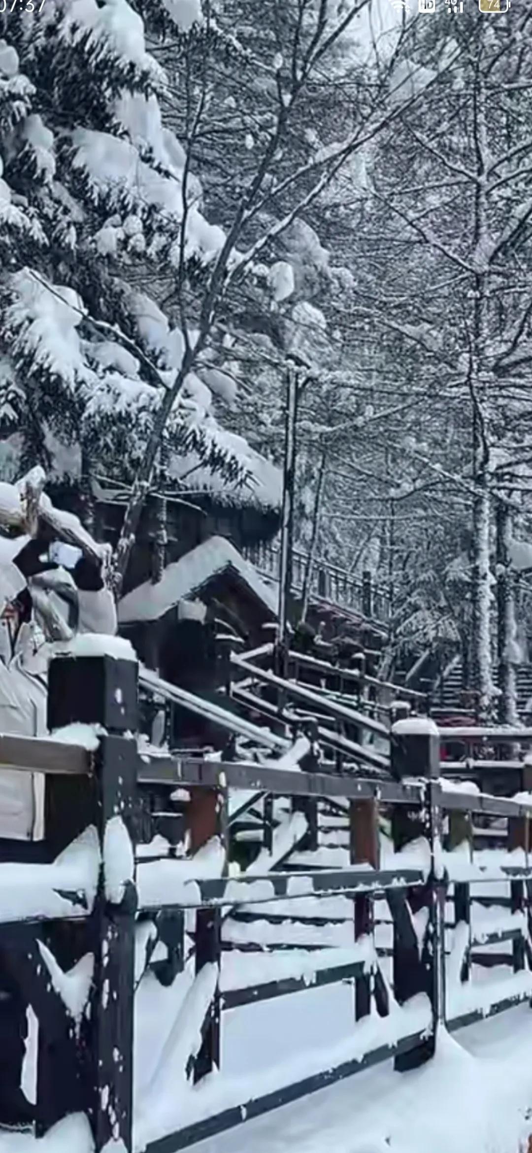 看看大家下雪拍的照片
