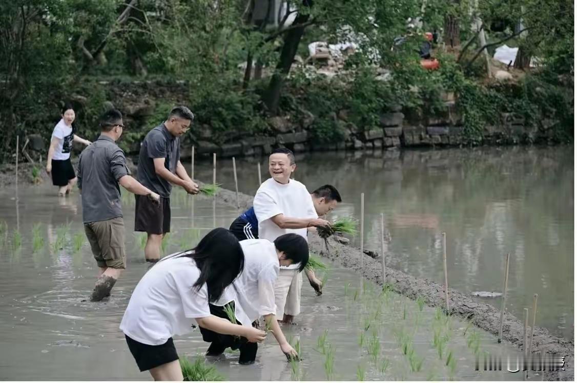 看阿里这组照片的时候，第一反应是有点意外——一群平时西装革履的大佬，光脚踩在水田