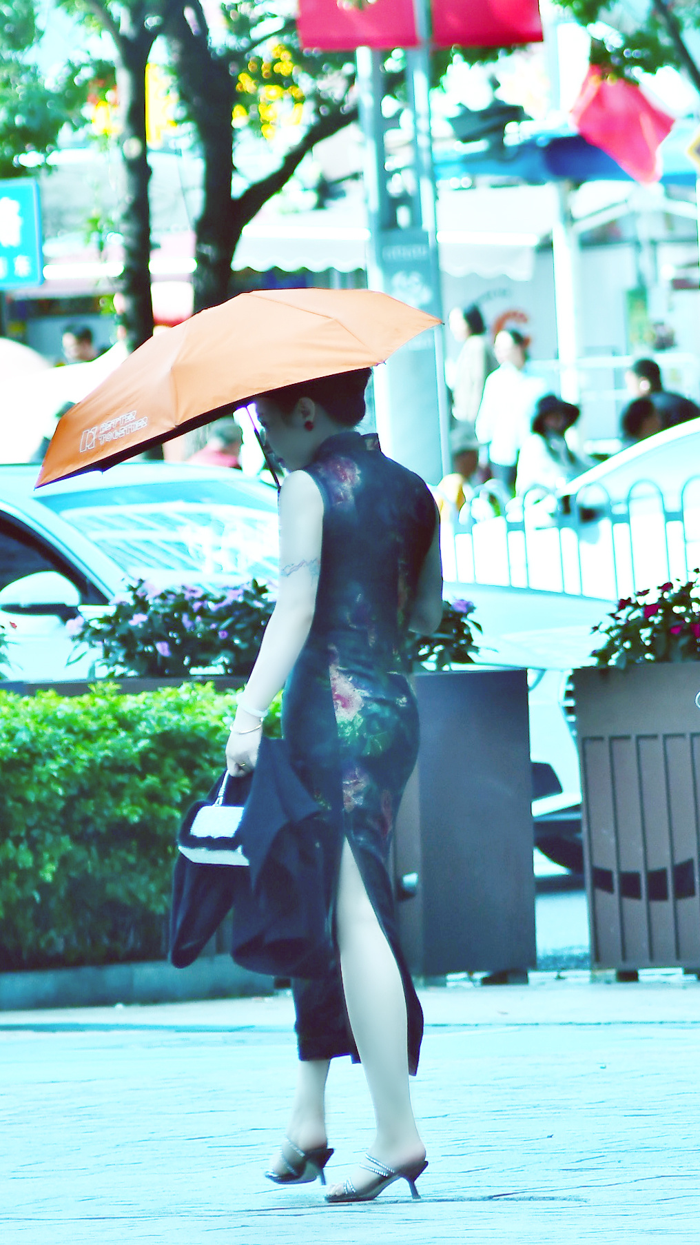 分享图片 ​​​