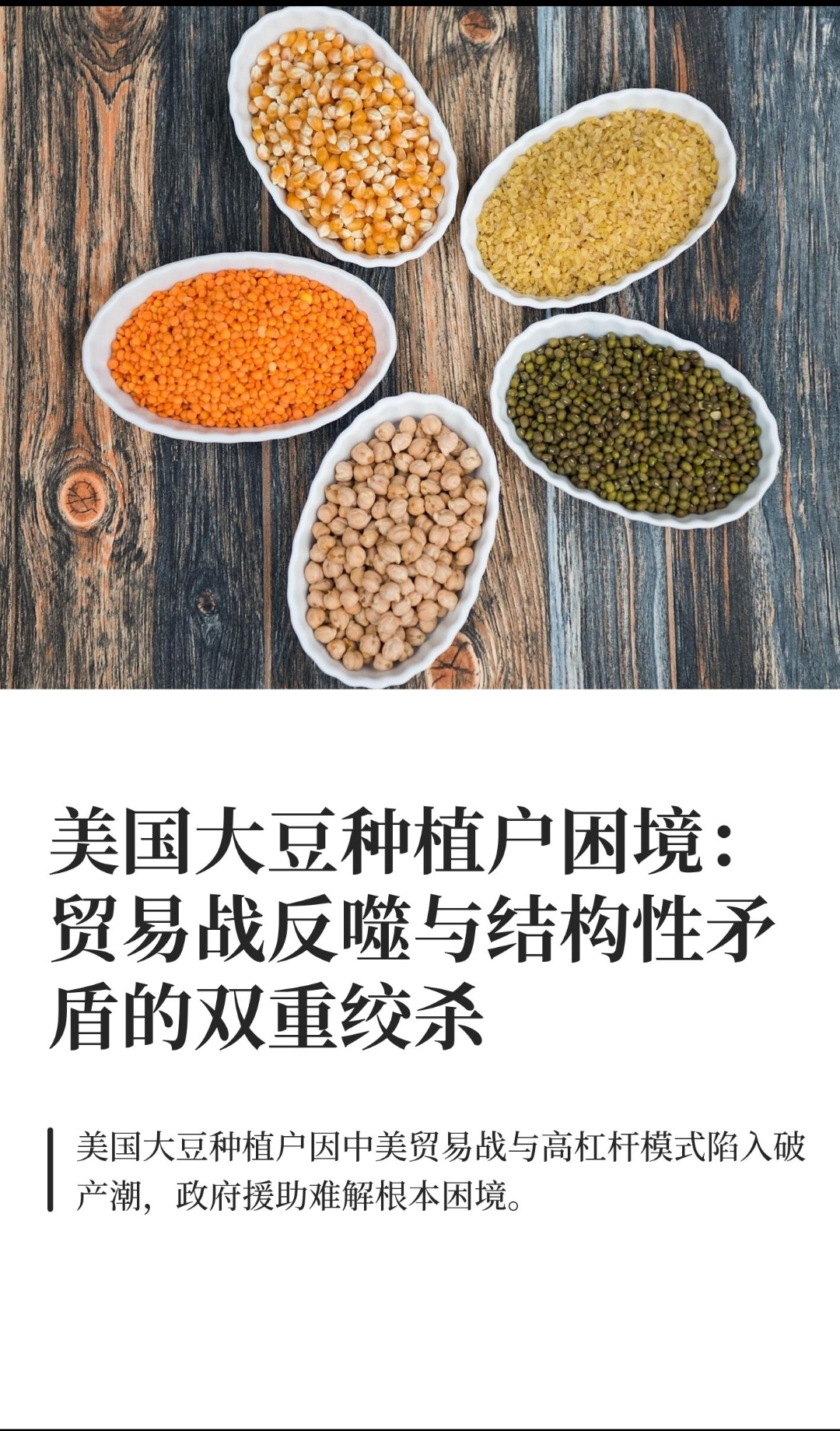 ｜ 2025年美国大豆种植户正经历前所未有的寒冬。尽管美国政府紧急抛出120亿美