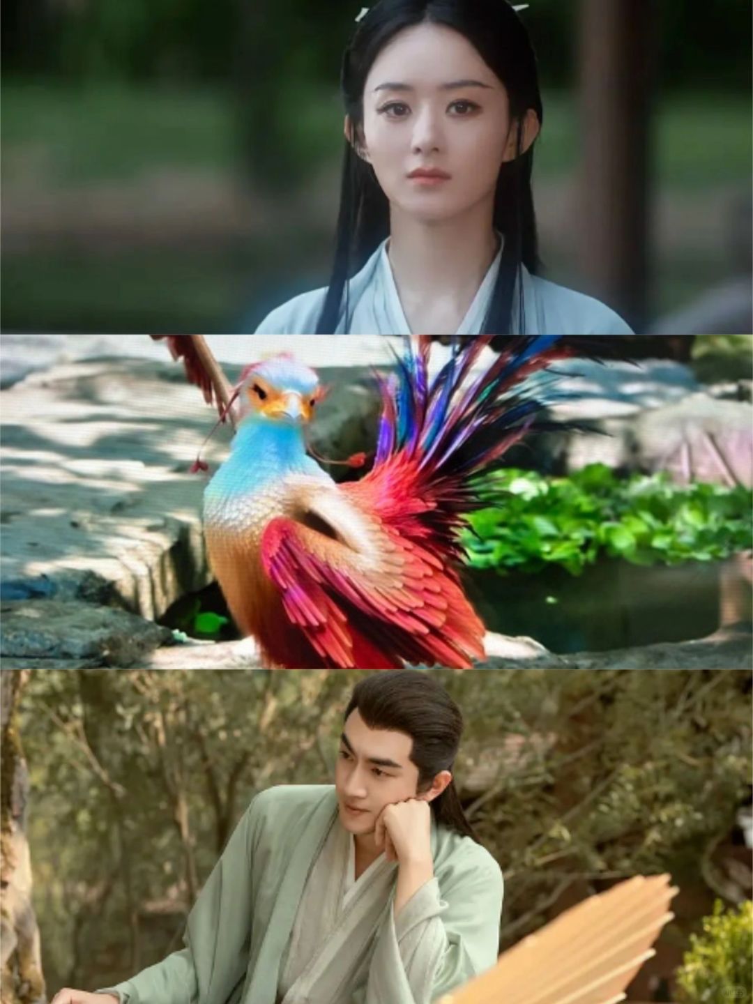 《与凤行》开播，冲着两位主演也要看下去