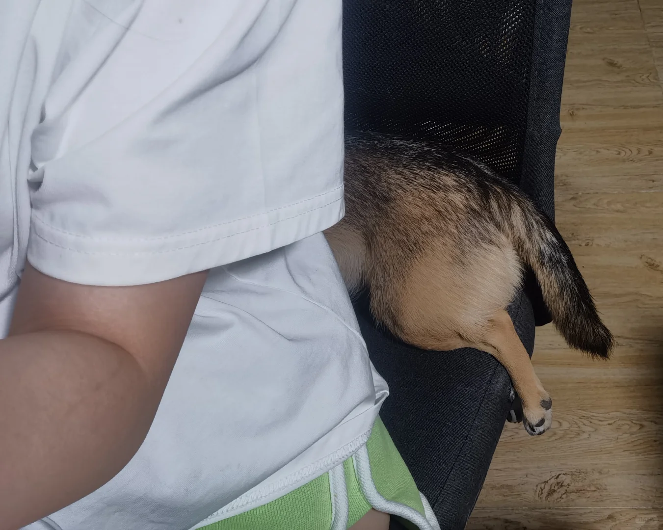 一个害怕输液针的大屁股