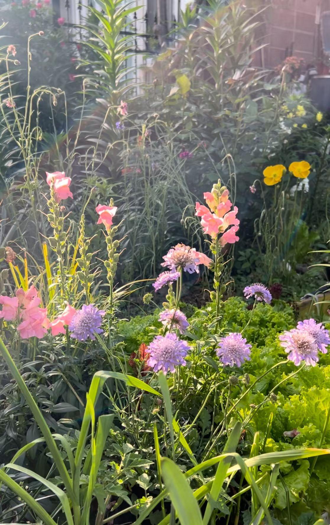 Relaxing in my secret garden 
then out f