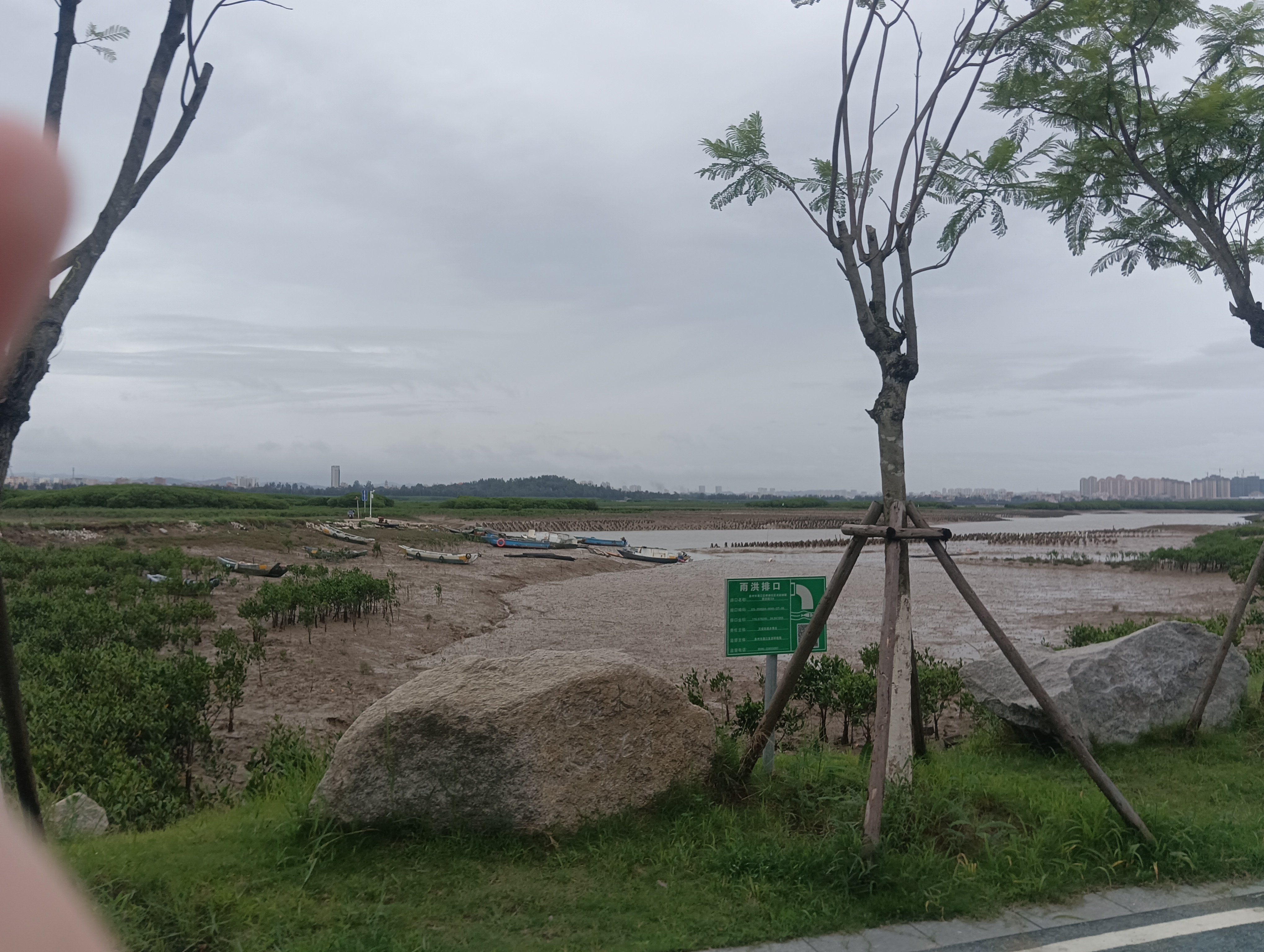 什么时候才能不下🌧️ 泉州·洛阳江口红树林国家级湿地公园