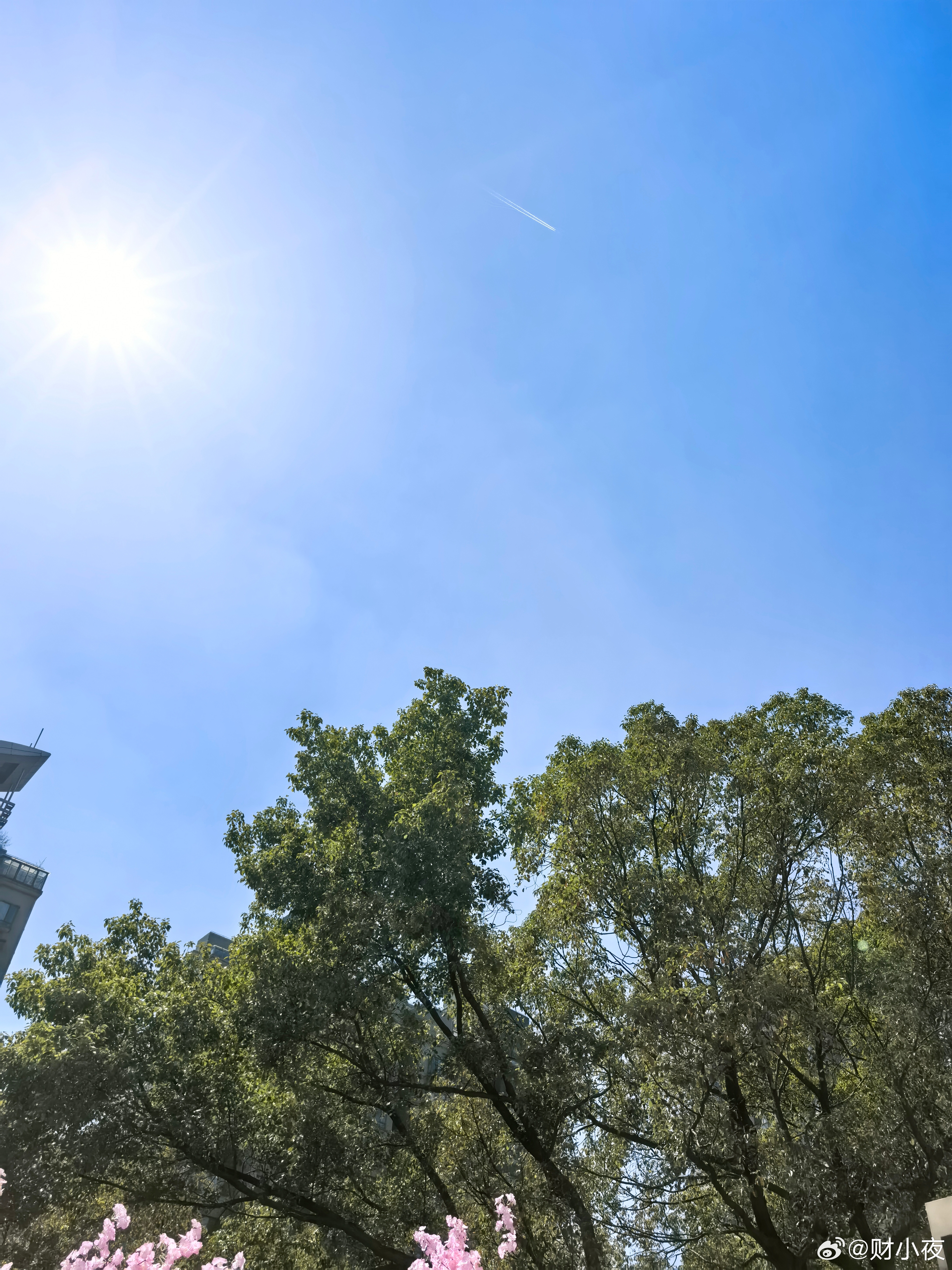 上午阳光明媚，喝着冰美式刷到尿素期货价格暴涨超20%，正好空着，我在学习农业知识