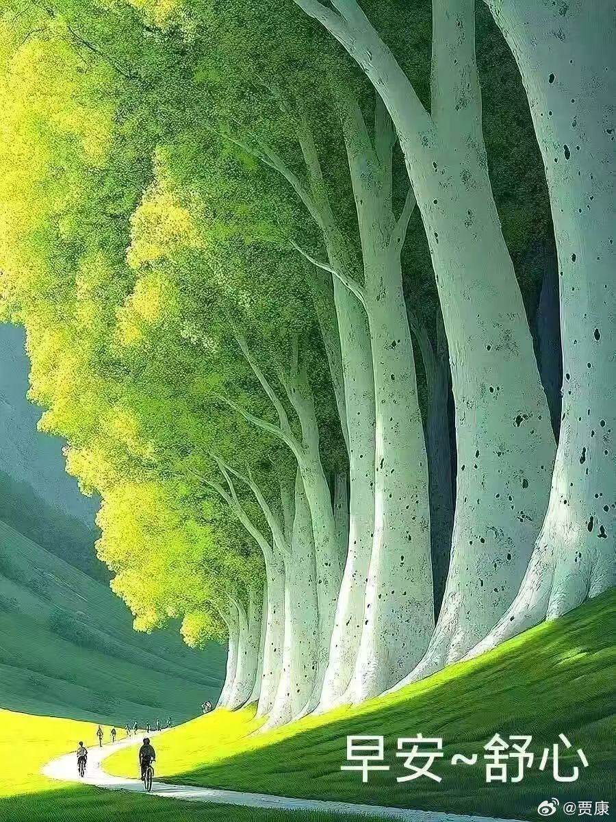 网页链接