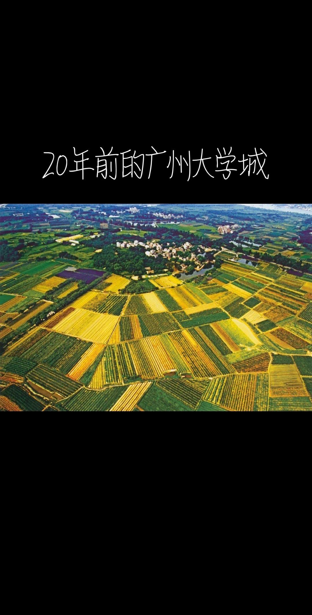 今广州大学城中心湖地区大学