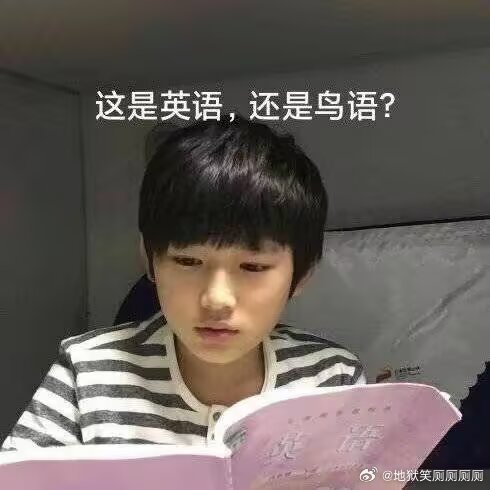 1408：不能用翻译软件还要硬着头皮读英语的时候： 