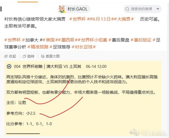 村长顺利再次大满贯 世界杯澳大利亚VS土耳其5连击 