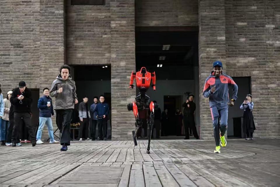 荣耀极限探索官这个头衔，在首次线下同框赛跑里人和机器人都戴着
荣耀给赵家驹的头衔