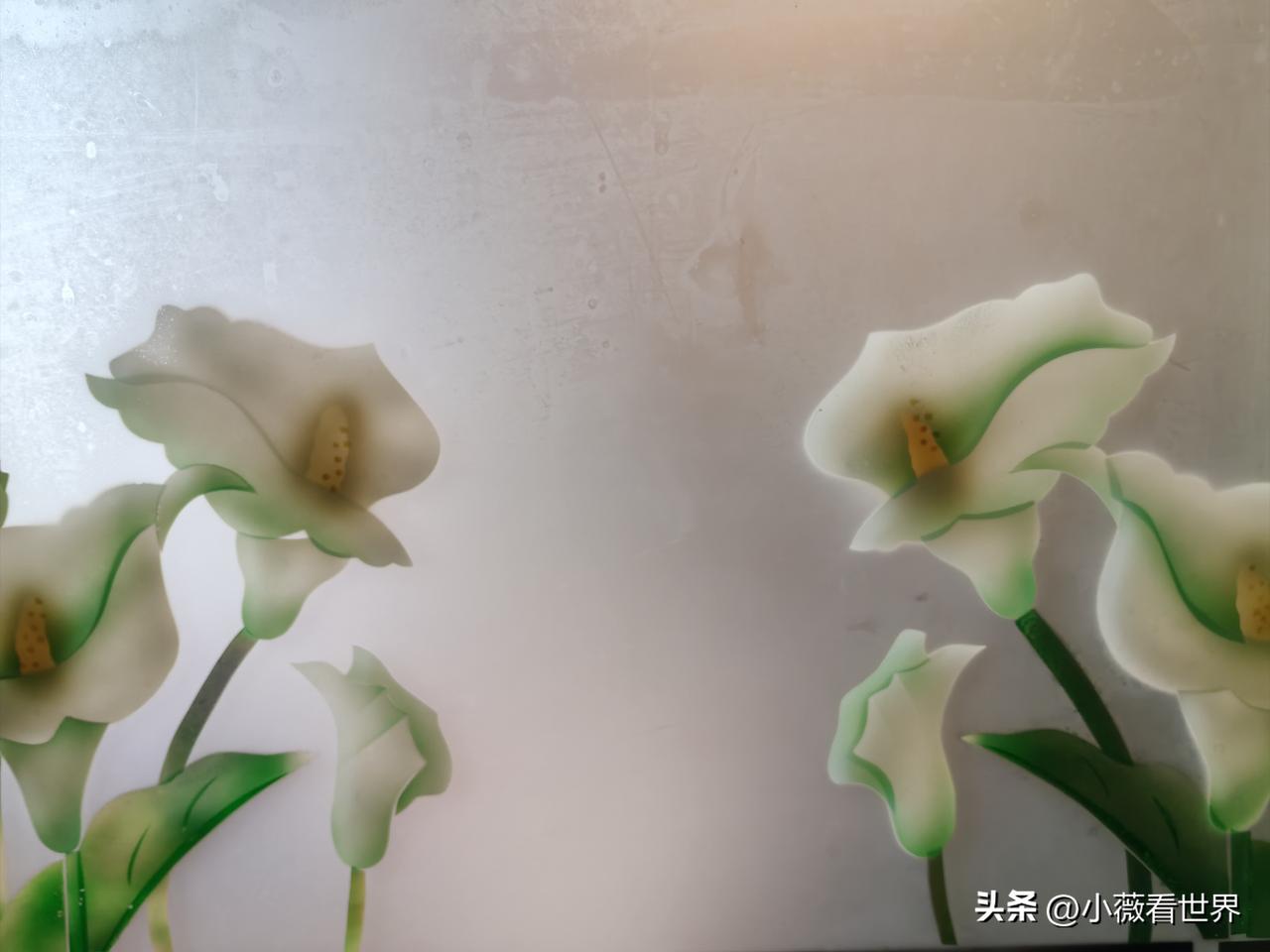 第216个女神节到了，朋友圈很多人在晒红包晒美景照，我的这一天却比较平淡。

就