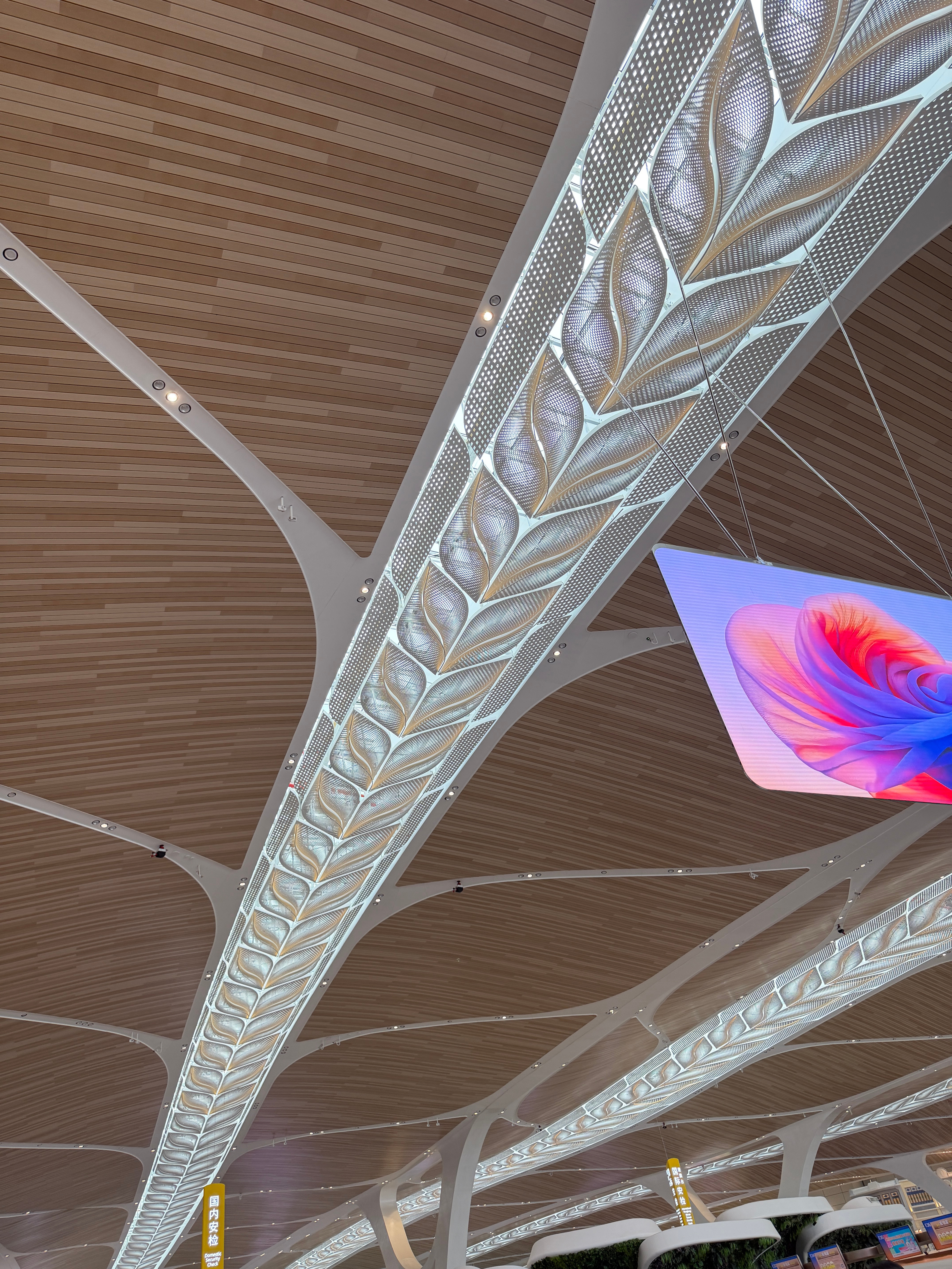 广州白云机场的T3航站楼我第一次来好新 设计的好棒！每个角落都是贯穿的花瓣元素、
