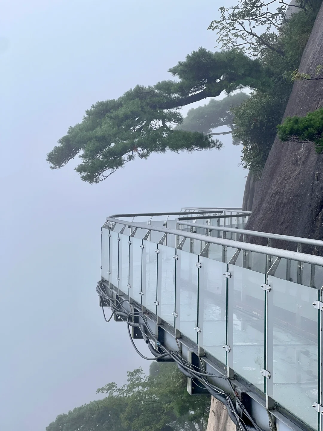 雨天浓雾的三清山，是翰墨凌云的写意山水⛰️