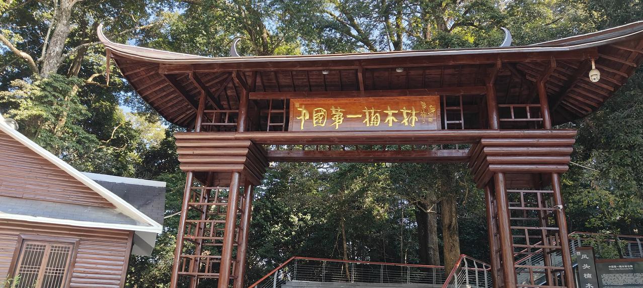 中国第一楠木林赋(东平)
李家宁(中国)
东平楠林，华夏称冠。千亩苍龙卧岭，万株