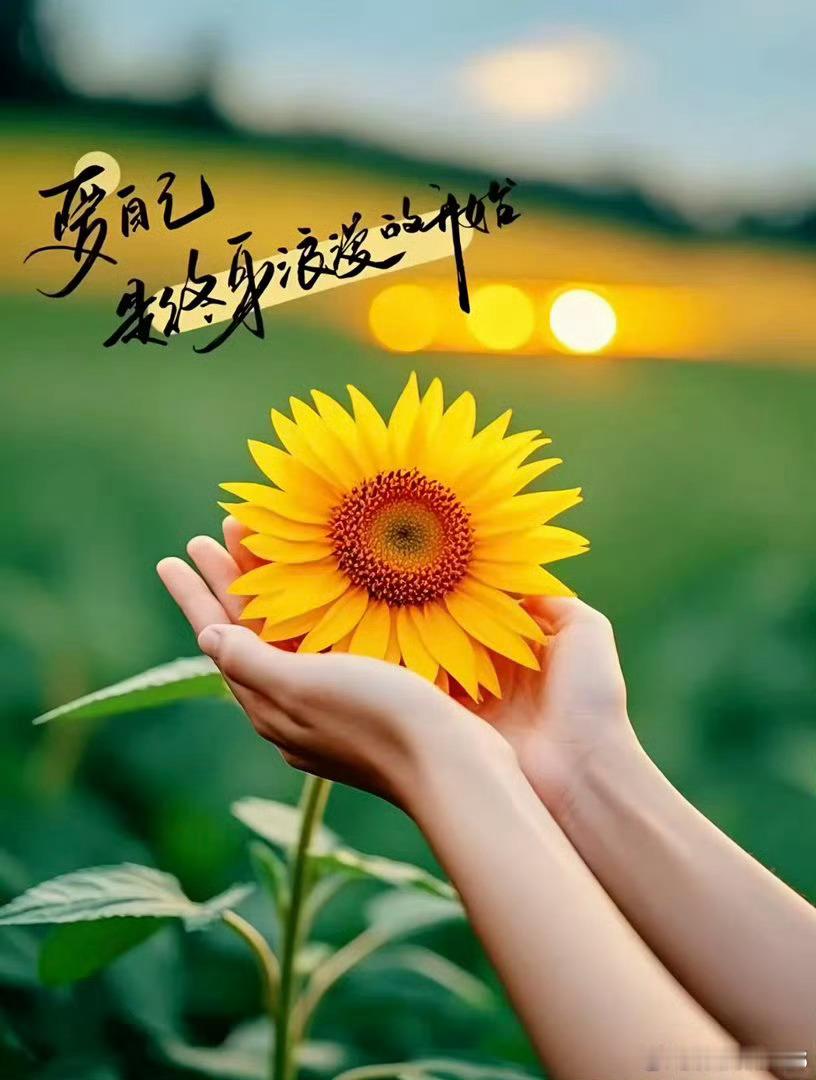 今天周四，大家早上好！全体集合了～～～起床的赶紧动起来，免费点赞+评论666安排
