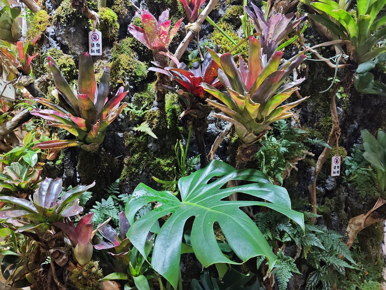 “中秋送礼，过年送福”是中国传统礼节，到了春节大家都要给亲朋好友送上祝福，在马年