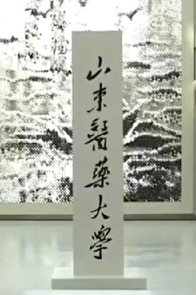 山医药新校名，繁体毛体，背景分别是滨州校区和烟台校区的标志建筑。
烟台和滨州主要