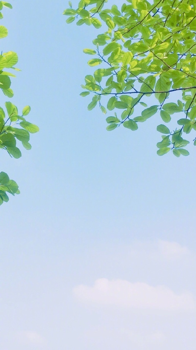 活着！把你宝贵的内在生命活出来。什么都别错过。| 王尔德 