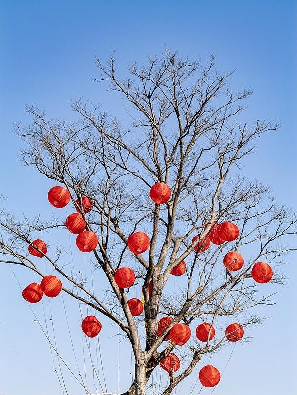 你能刷到这条，本身就是一种福气

放心吧，你的命很好，否则你根本看不到这段话。