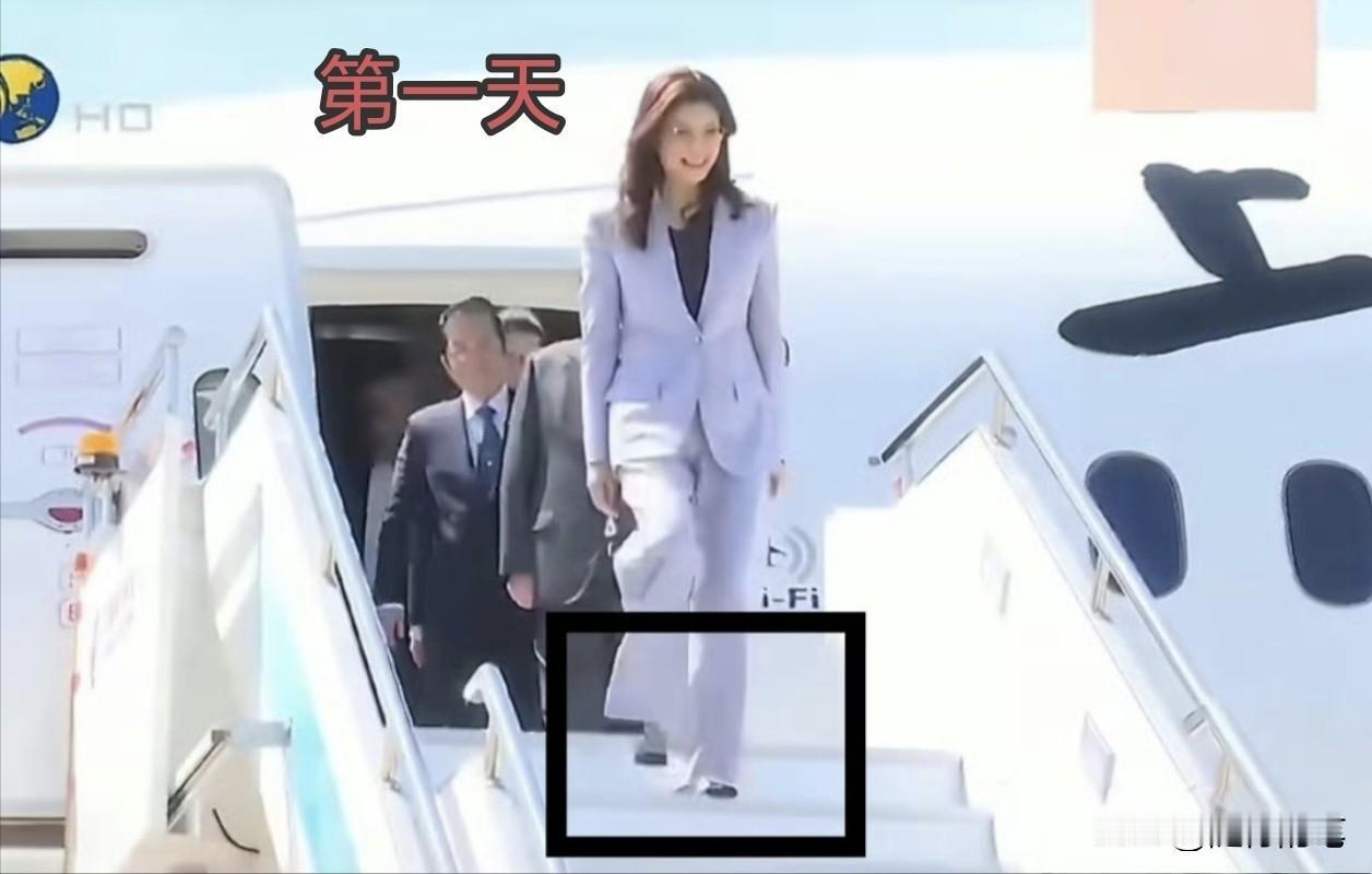 郑丽文访问大陆，服装穿着很讲究，三天三套西装。

第一天刚抵达时是穿着一套淡蓝色