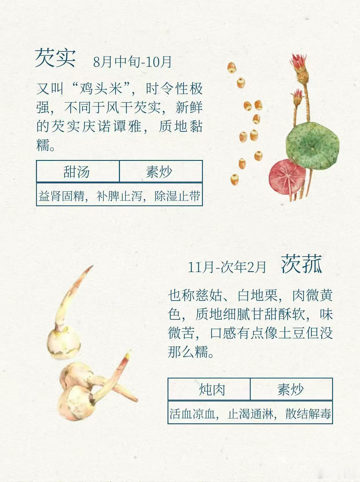 茭白是陆游严选食材茭白被古人比作美玉 原来茭白在古代地位这么高，不仅被称作美玉，