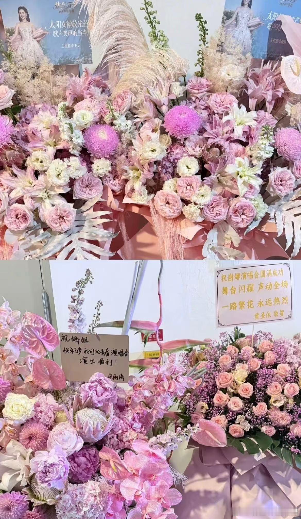 谁给谢娜送的菠萝花篮 一眼就被这个菠萝花篮吸引住了离谱中带点可爱，搞笑里还有点用
