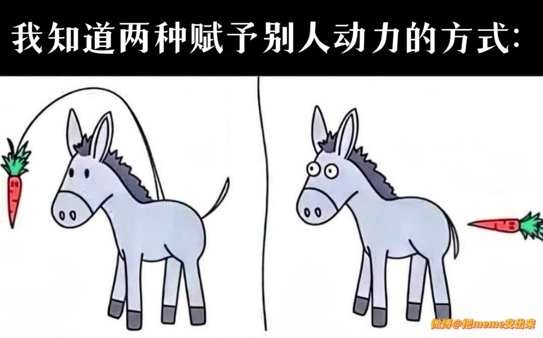 ？第二种是什么今日memesfunny memememe ​​​