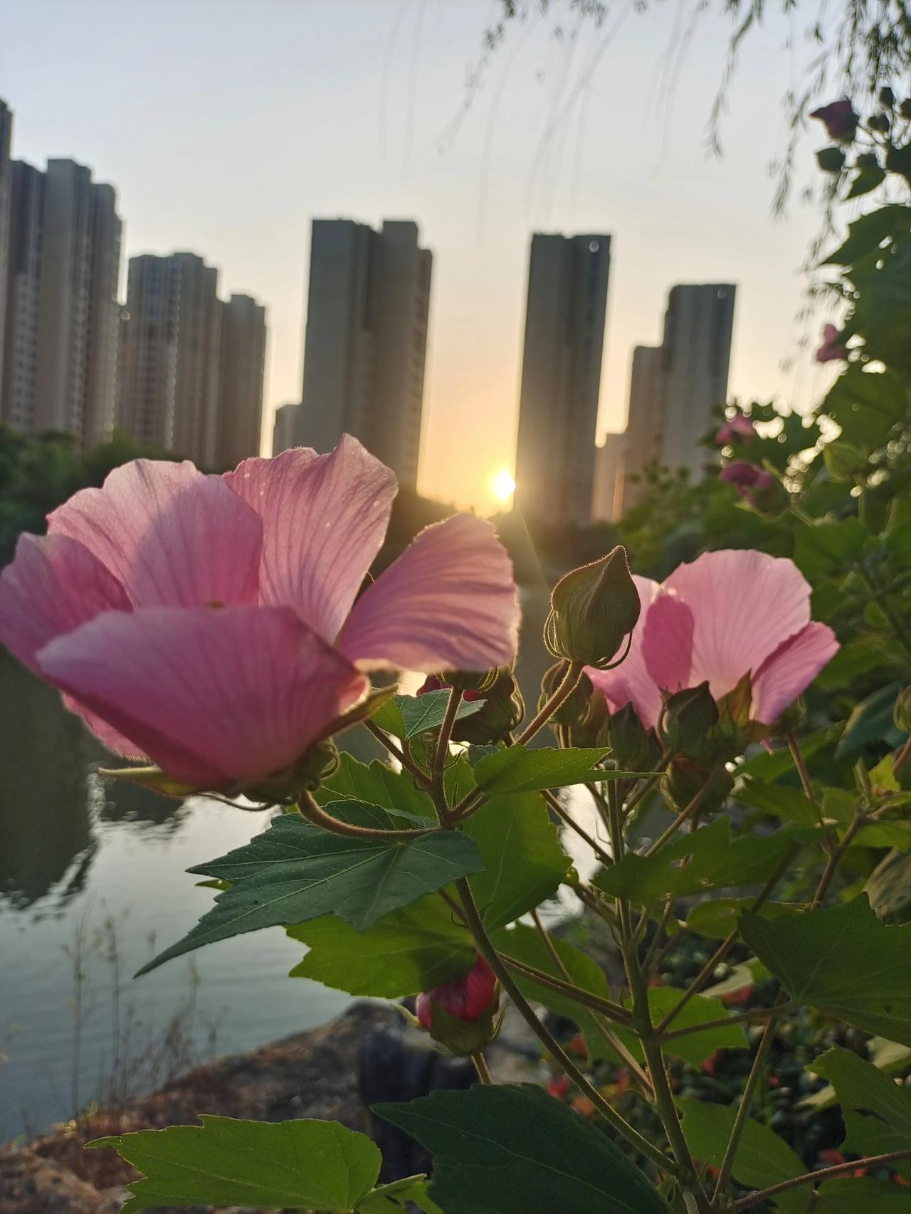 我花了十四年的时间才看透渣男对我和孩子没有责任和爱，丧偶式的婚姻该终结了。

现