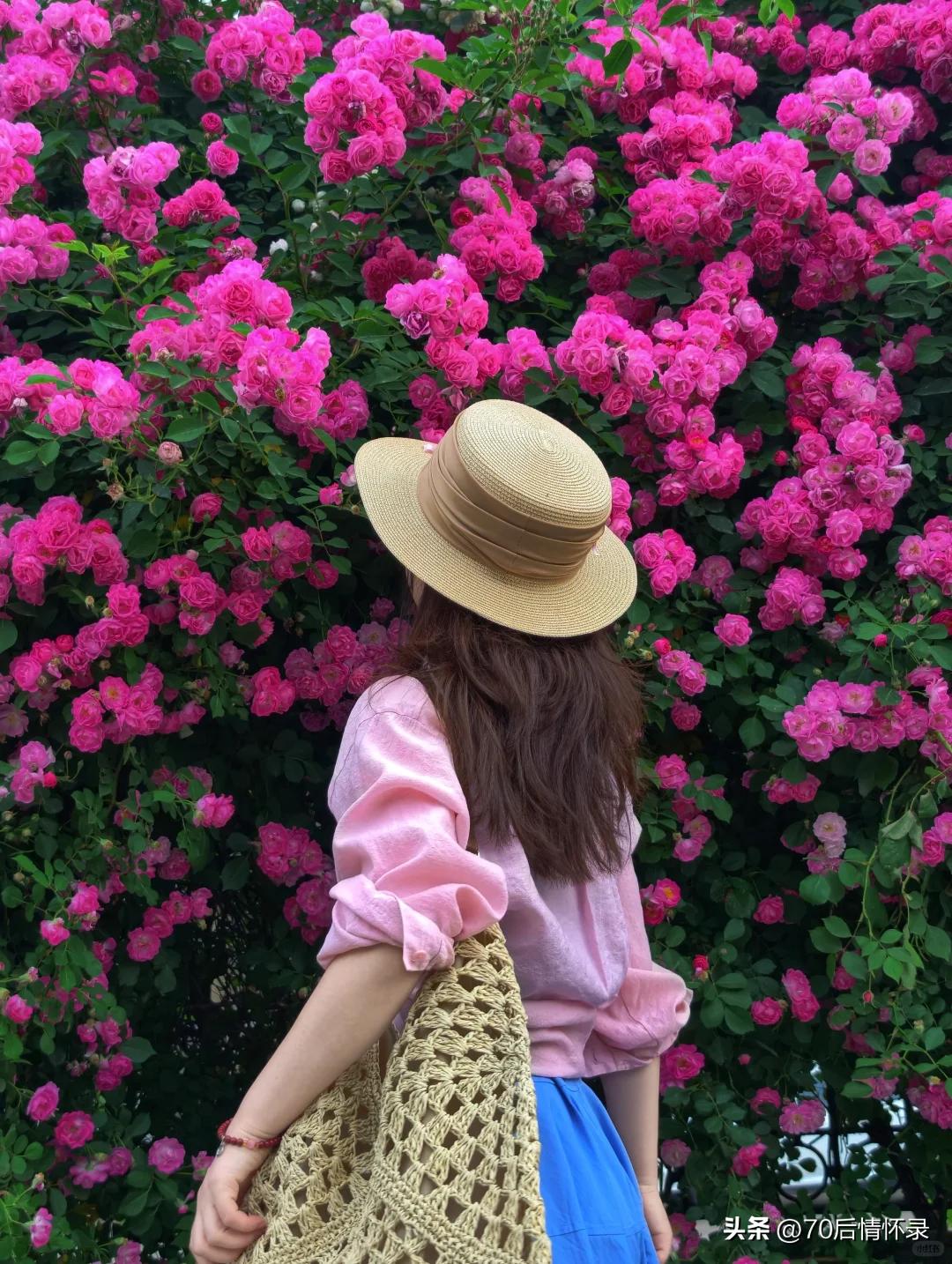 真正的人生从容，从来不是外界无风无雨，而是心能自造清凉。这是人生修行的基础心态，