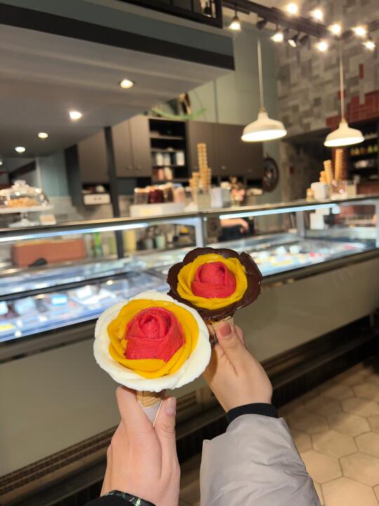 布达佩斯🇭🇺维也纳🇦🇹随机掉落live图
