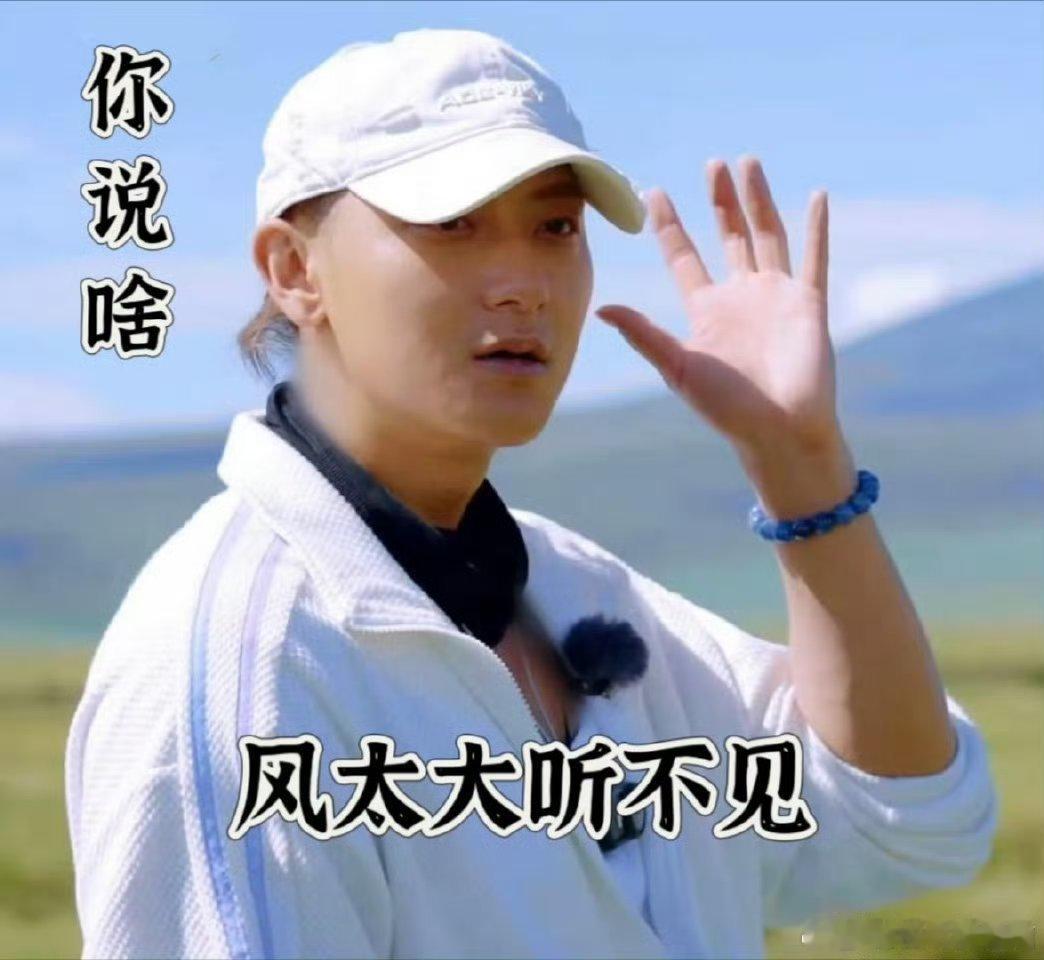 黄子韬这次是黄了个小逃他的“黄了个小逃”梗超有料，适配超多表情包，黄子韬本人也实
