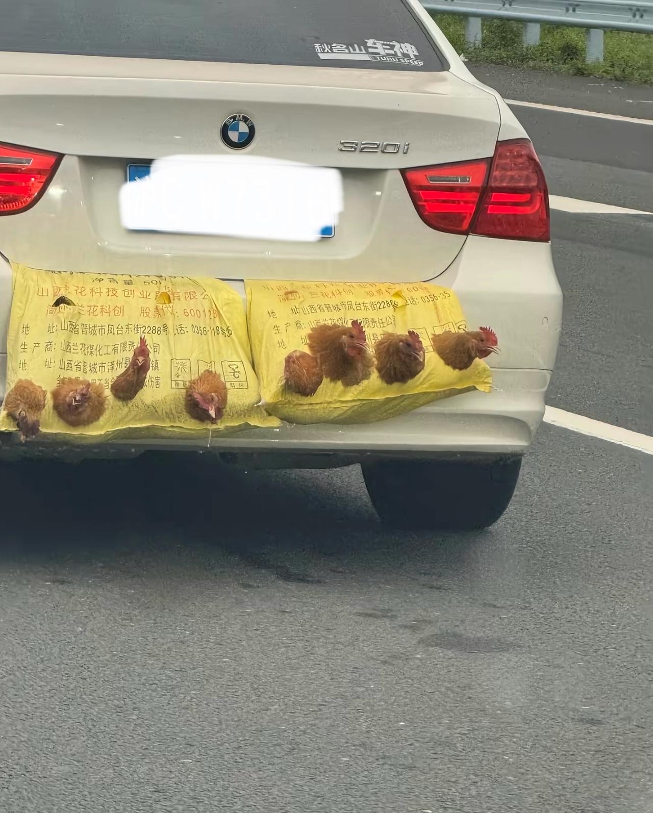 在高速路上看到的一幕 令人感动
世界再大 大不过牵挂
有点好笑又有点心酸 
对成