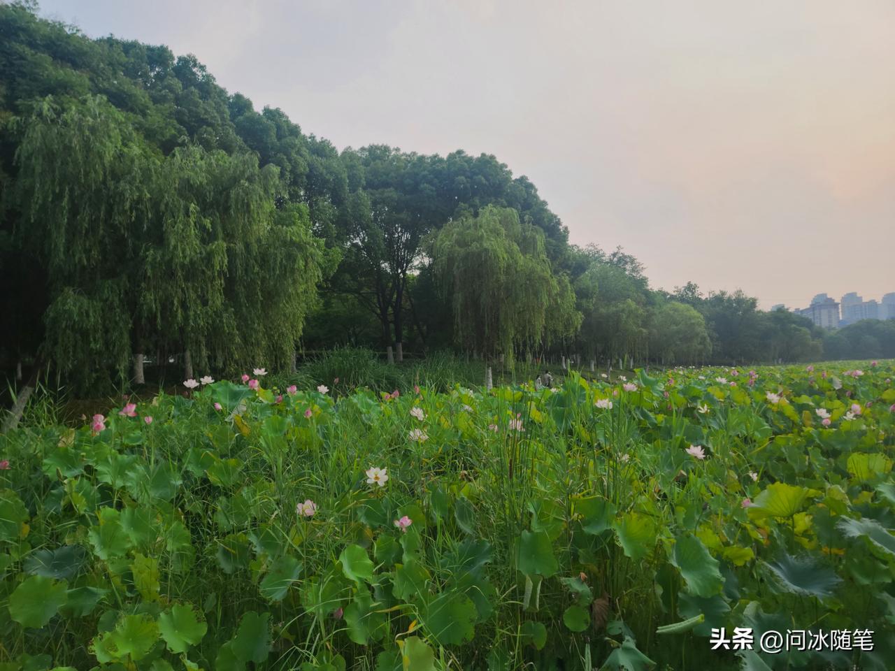 有人说，当下，只要不碰车贷、房贷，也不生育下一代，即便月工资只有3500元，日子