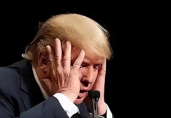 美国人后悔了，短短十几天的时间，美国对华出口生意基本被别国瓜分了，中国已经不买美