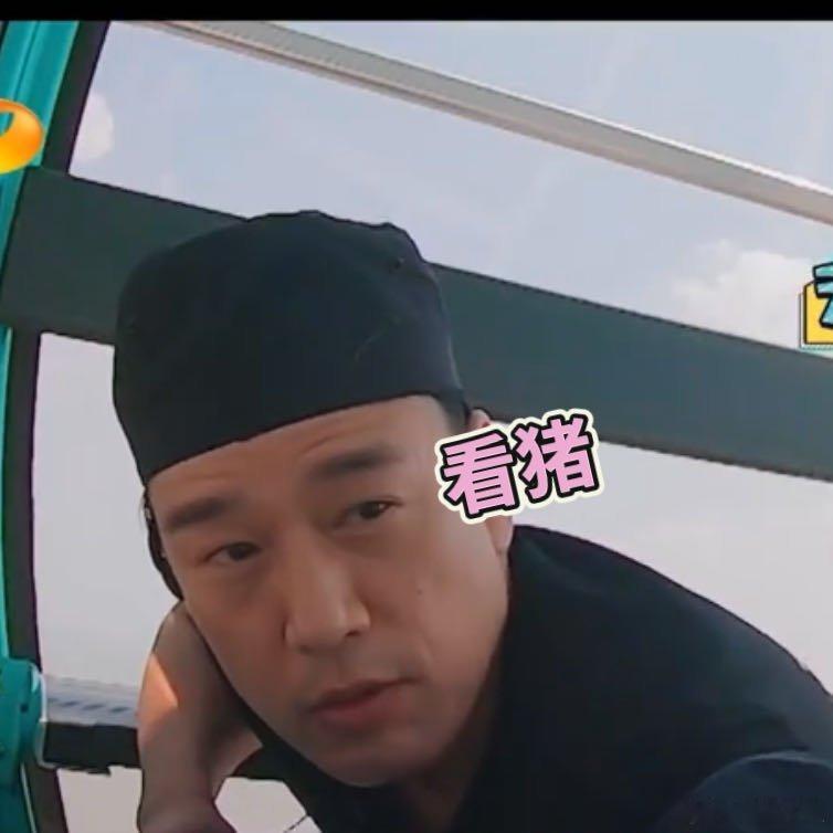 王耀庆带猪这段完播率200%王耀庆追逃名场面遇上摆烂小猪！大佬搞追踪反追踪，猪直