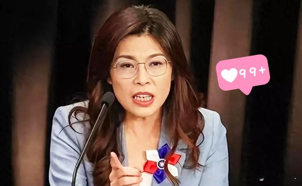 郑丽文要换人了？年底要逼宫换郑丽文？

国民党本土派大佬在秘密会议上达成协议，年