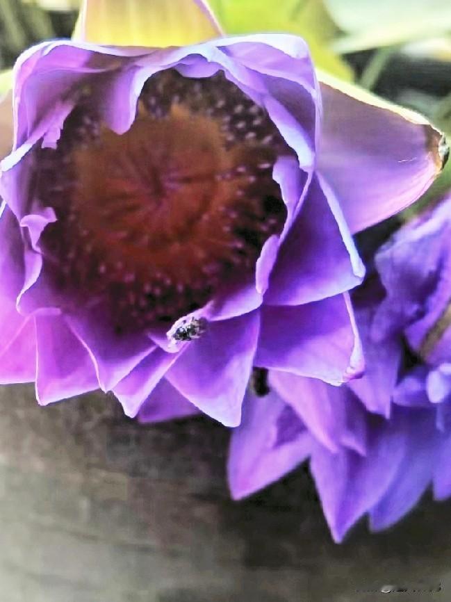 友们又是美好的一天！
岁月里，
高兴就是幸福，
开心就是最大的收获。

生活中，